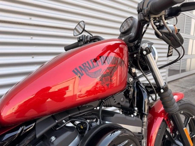 Harley-Davidson Sportster XL 883 N Iron (Wicked Red) - Bild 4