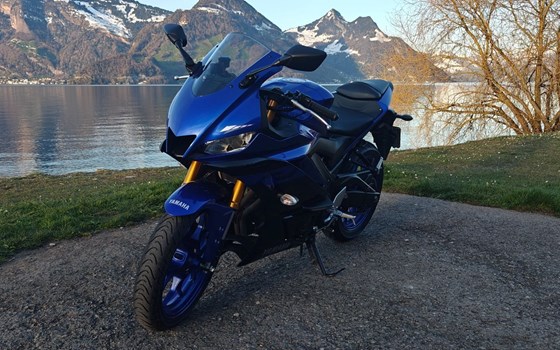 Motorrad Occasion Yamaha YZF-R3 - Bild 3