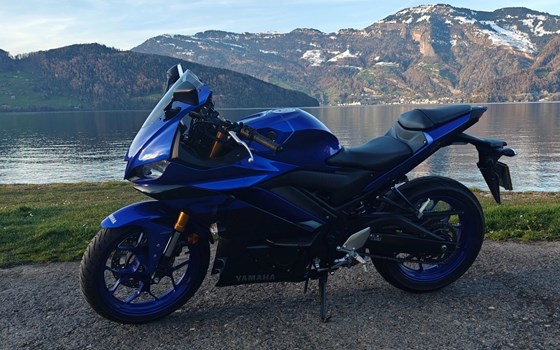 Motorrad Occasion Yamaha YZF-R3 - Bild 5