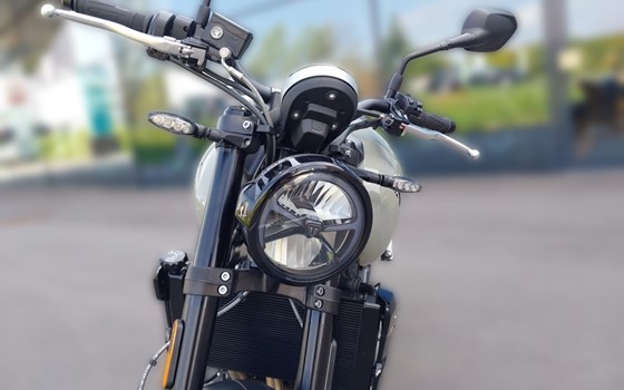 Neufahrzeug Triumph Trident 660 - Bild 8