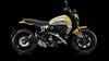 Ducati Scrambler Icon