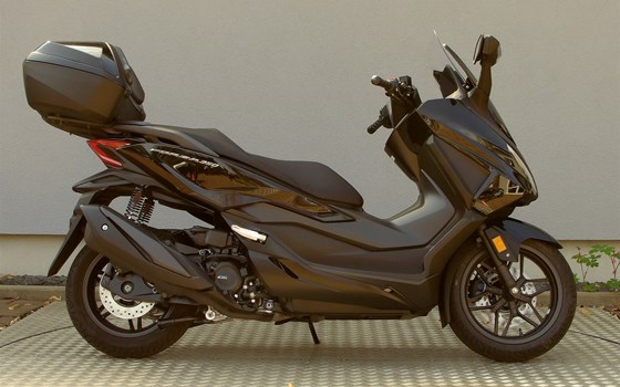 Neufahrzeug Honda Forza 350 - Bild 1