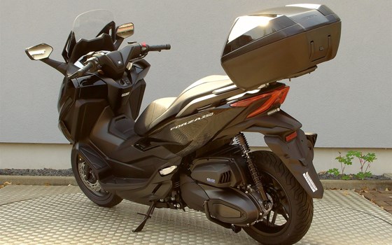 Neufahrzeug Honda Forza 350 - Bild 6