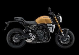 Neumotorrad Suzuki GSX-8T