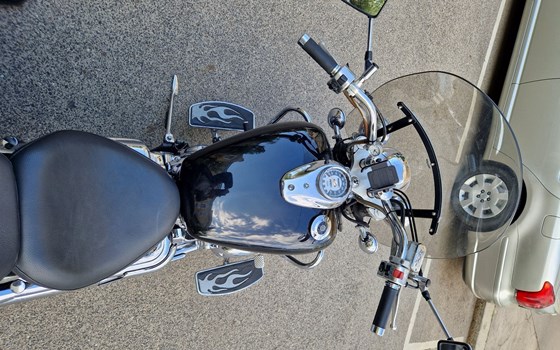 Gebrauchtmotorrad Yamaha XVS 650 Drag Star - Bild 6
