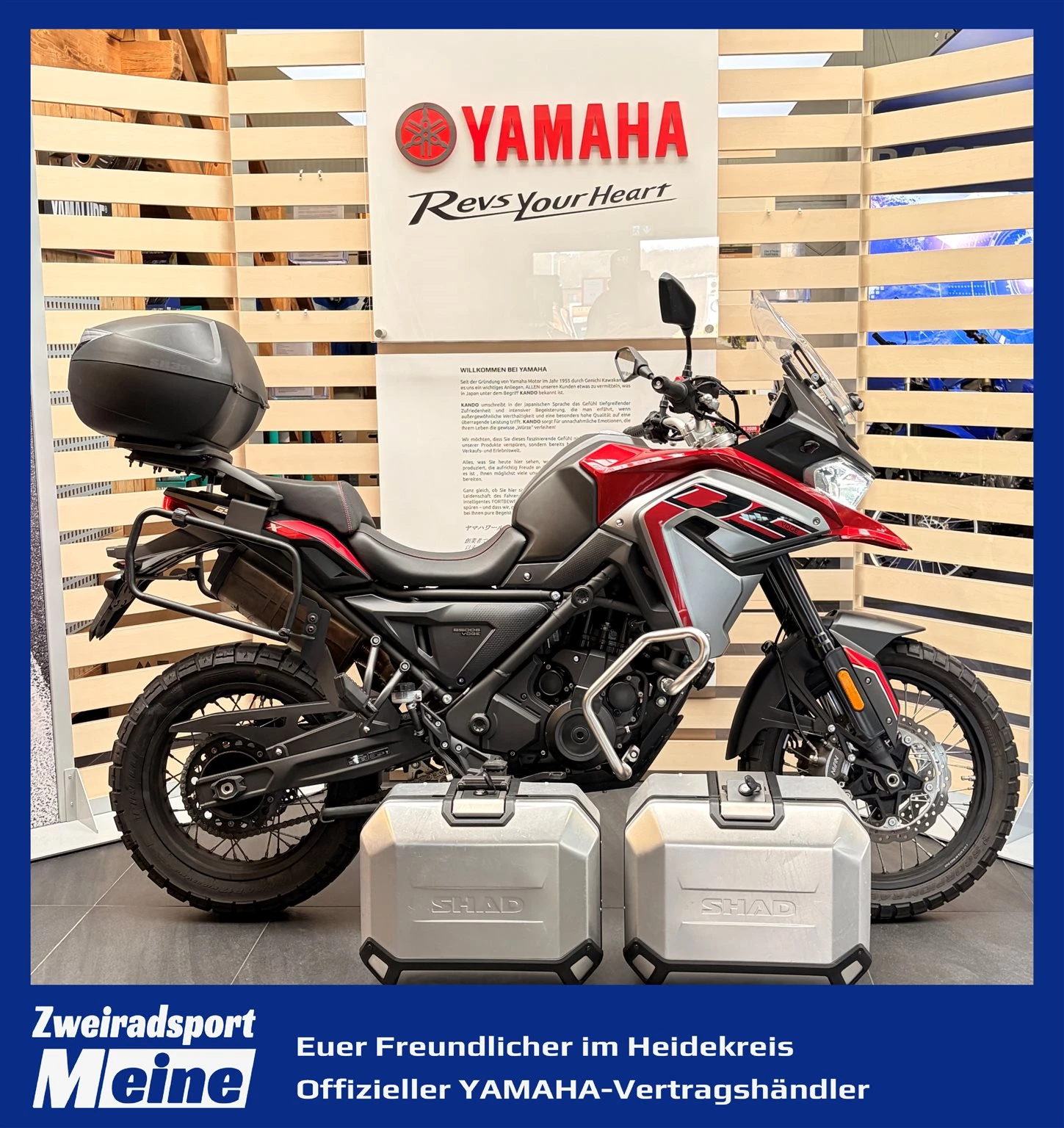 Voge 650DSX
