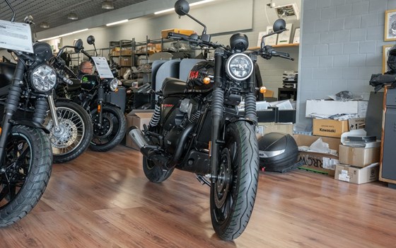 Neufahrzeug BSA Bantam 350 - Bild 4