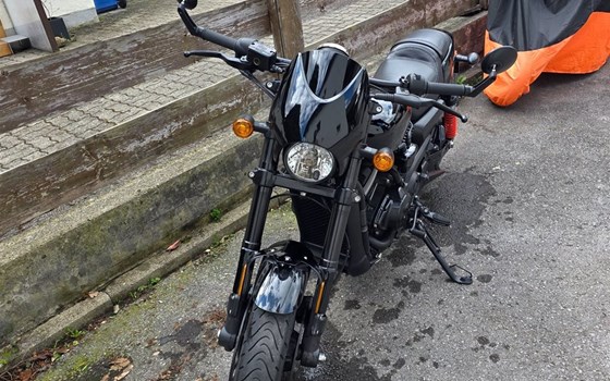 Gebrauchtmotorrad Harley-Davidson Street Rod - Bild 1