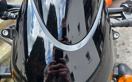 Gebrauchtmotorrad Harley-Davidson Street Rod - Bild 19