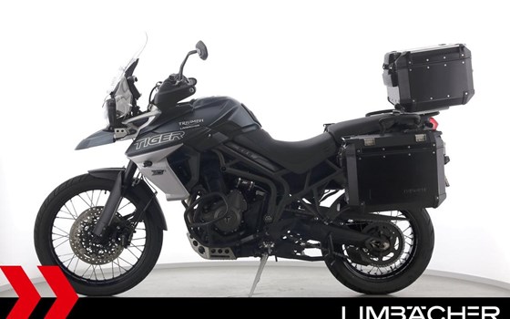 Gebrauchtmotorrad Triumph Tiger 800 XCA - Bild 5
