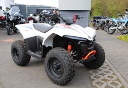 Neumotorrad CFMOTO CFORCE EV110