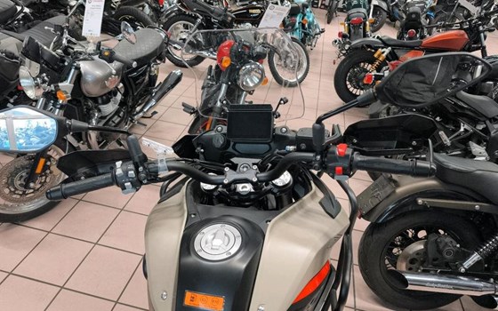 Neufahrzeug Benelli TRK 702 X - Bild 6