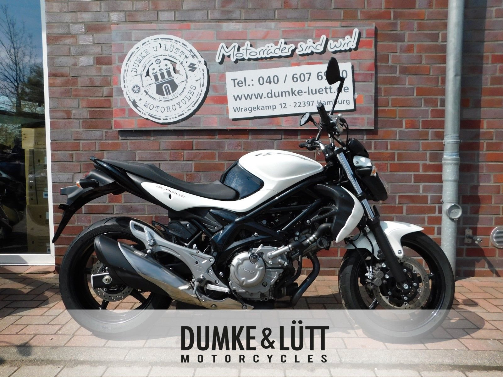 Suzuki SFV 650 Gladius