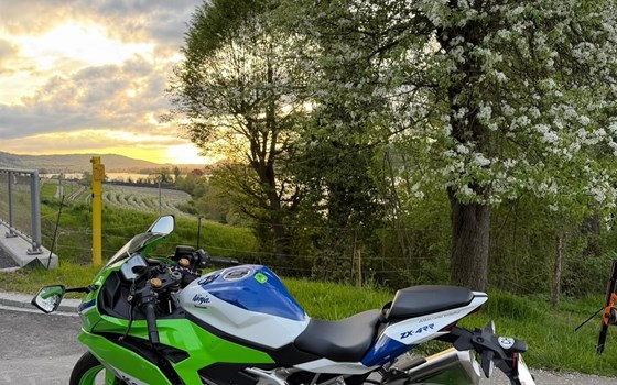 Offerta Kawasaki Ninja ZX-4RR 40th Anniversary Edition - Immagine 2