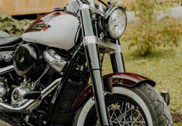 Gebrauchte Harley-Davidson Softail Slim FLSL