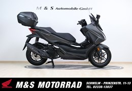 Neumotorrad Honda Forza 125