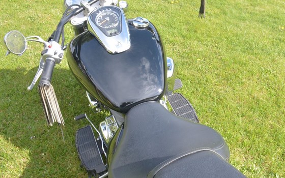 Gebrauchtmotorrad Suzuki Intruder C800 - Bild 2