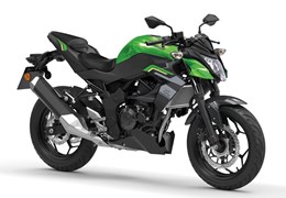 Neumotorrad Kawasaki Z125