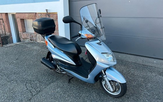 Gebrauchtmotorrad Yamaha Cygnus X - Bild 5