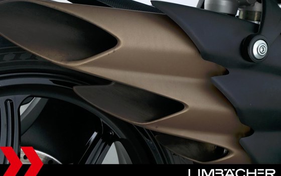 Gebrauchtmotorrad MV Agusta Dragster 800 RC SCS - Bild 16