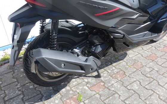 Gebrauchtmotorrad Honda Forza 125 Special Edition - Bild 5