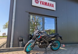 Gebrauchte Yamaha MT-125