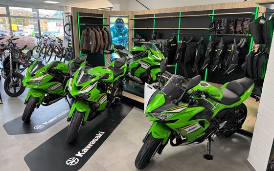 Gebrauchtmotorrad Kawasaki Eliminator 500 - Bild 13