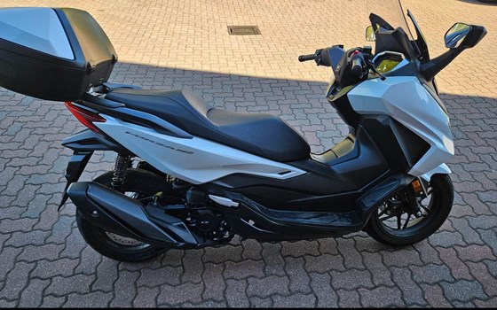 Gebrauchtmotorrad Honda Forza 350 - Bild 3