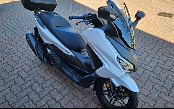 Gebrauchtmotorrad Honda Forza 350 - Bild 4