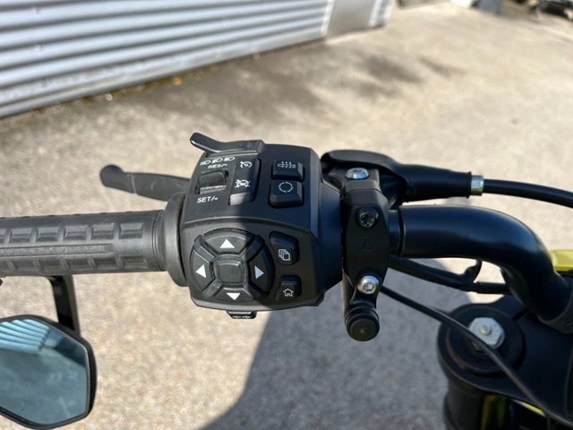 Harley-Davidson Sportster S RH1250S (grün) - Bild 14