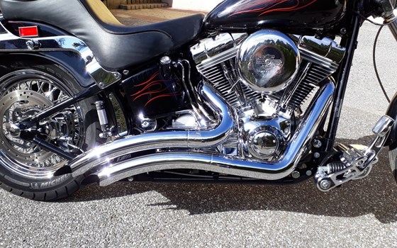 Gebrauchtmotorrad Harley-Davidson Softail Standard FXST - Bild 11