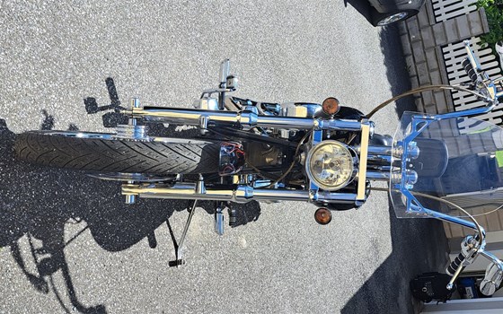 Gebrauchtmotorrad Harley-Davidson Softail Standard FXST - Bild 3