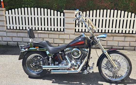 Gebrauchtmotorrad Harley-Davidson Softail Standard FXST - Bild 5