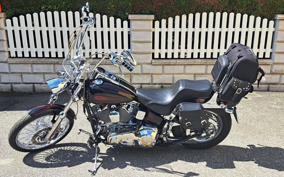 Gebrauchtmotorrad Harley-Davidson Softail Standard FXST - Bild 6