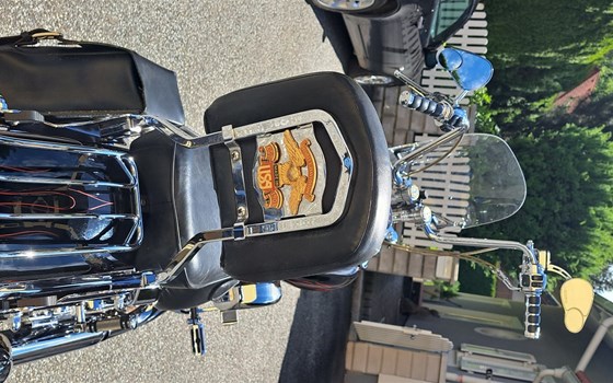 Gebrauchtmotorrad Harley-Davidson Softail Standard FXST - Bild 8