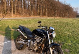 Gebrauchte Honda CB 600 F Hornet