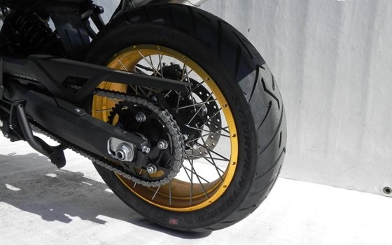 Neufahrzeug Voge DS900X - Bild 9