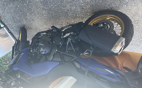 Gebrauchtmotorrad Suzuki V-Strom 800DE - Bild 2