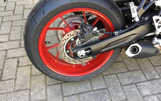 Neufahrzeug Suzuki GSX-8R - Bild 9