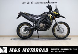 Neumotorrad Voge 300 Rally