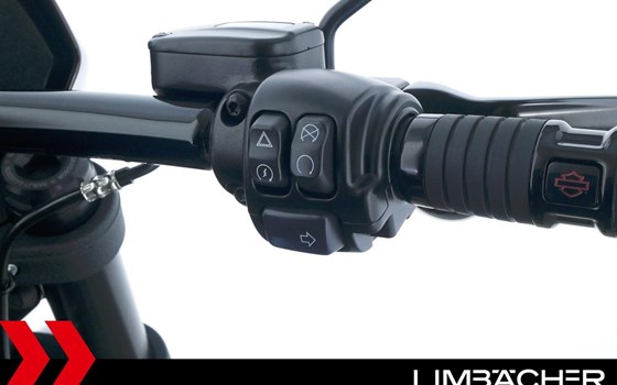 Gebrauchtmotorrad Harley-Davidson Low Rider S FXLRS - Bild 22