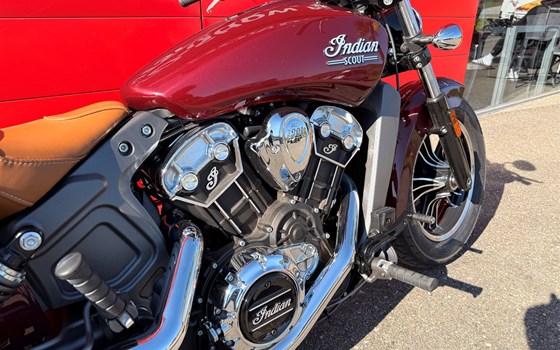 Motorrad Occasion Indian Scout - Bild 5