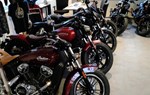 Offer Indian Chief Bobber Dark Horse - Image 5