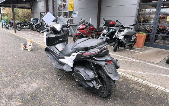 Gebrauchtmotorrad Voge SR4 350 LUXURY - Bild 4