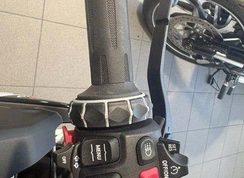 Gebrauchtmotorrad BMW S 1000 R - Bild 10