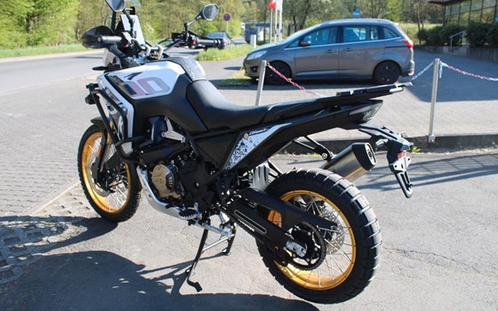 Neufahrzeug Voge DS800X Rally - Bild 3