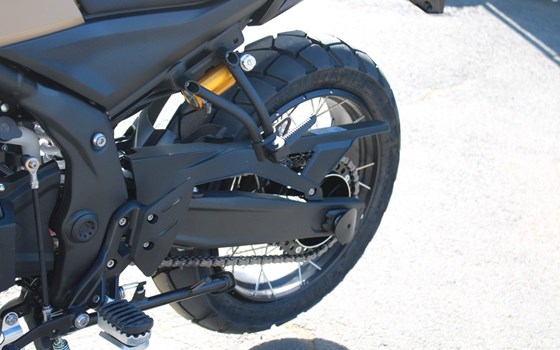 Neufahrzeug Voge DS625X - Bild 13