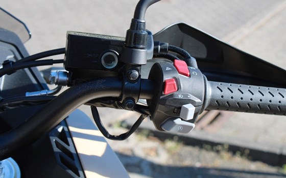 Neufahrzeug Voge DS625X - Bild 17