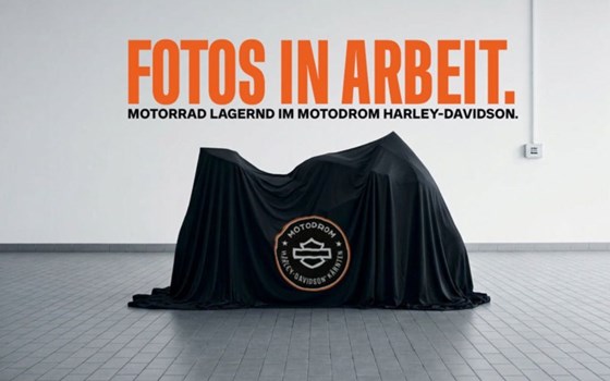 Gebrauchtmotorrad Harley-Davidson Pan America 1250 Special - Bild 1