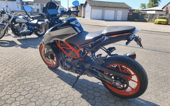 Gebrauchtmotorrad KTM 390 Duke - Bild 3